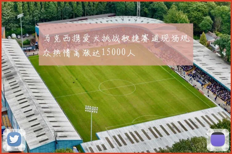 马克西携爱犬挑战敏捷赛道现场观众热情高涨达15000人