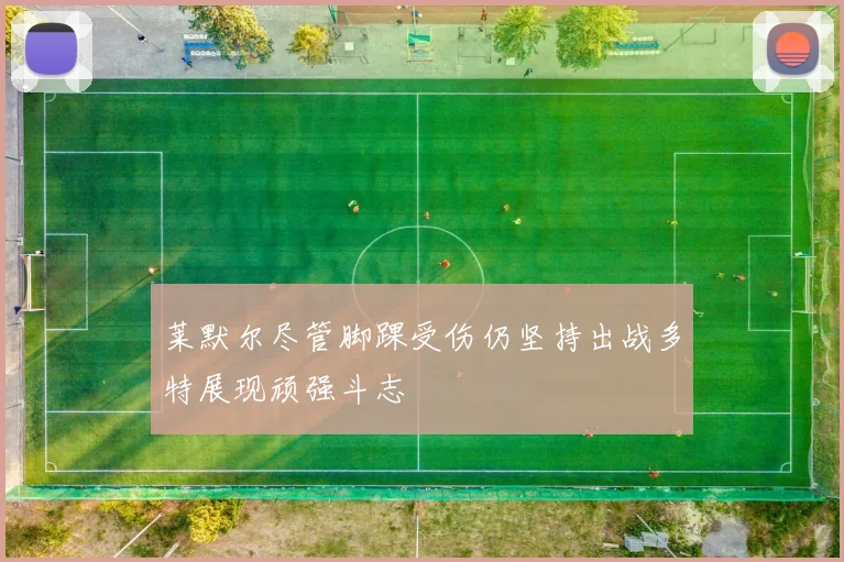 莱默尔尽管脚踝受伤仍坚持出战多特展现顽强斗志