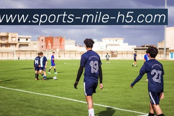 米乐体育平台生态图