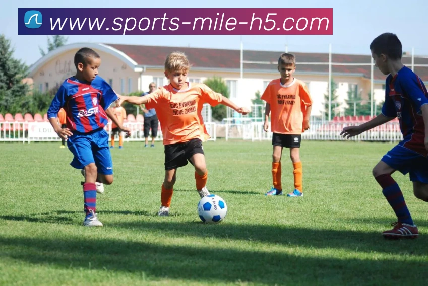 米乐体育APP 封面图